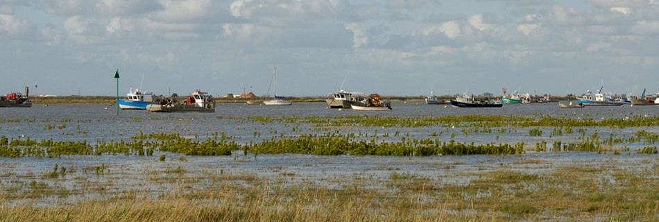 Charron Charente Maritime proche de la Vendée et du gite de la Gravée