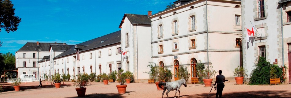 Haras La Roche sur Yon Vendée