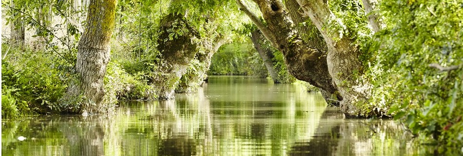 Marais Mouillé en Marais Poitevin à 10 mn du gite de la Gravée en Vendée