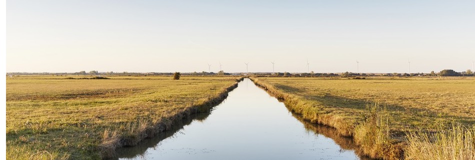 Marais Poitevin desséché en Vendée