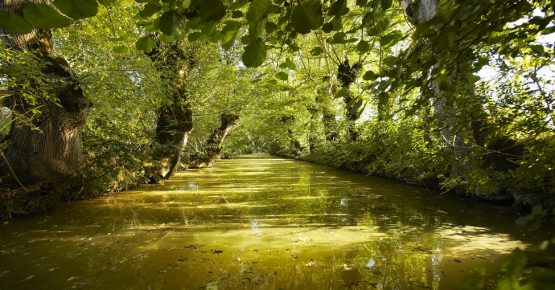 Marais Poitevin Vendée - gite de la Gravée