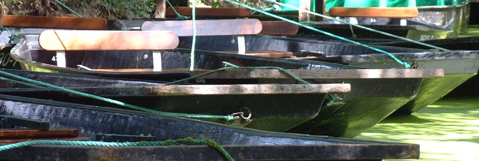 Boats in Marais Poitevin