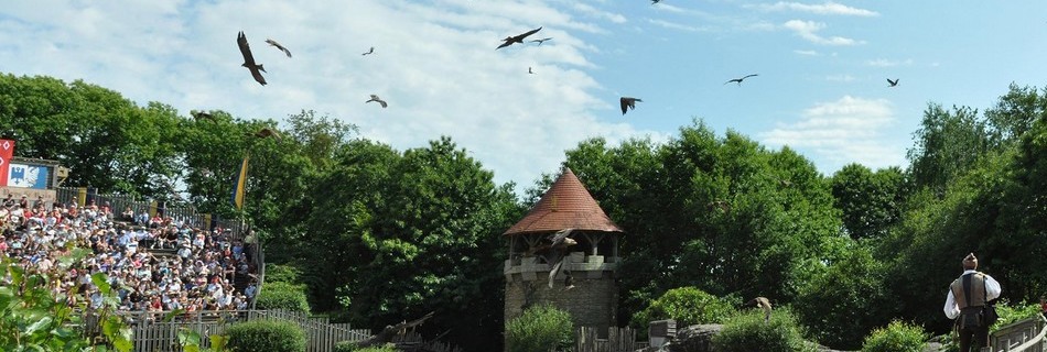 Le-Bal-des-Oiseaux-du-Puy-du-Fou