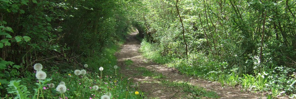 Path-Saint-Michel-le-CLoucq