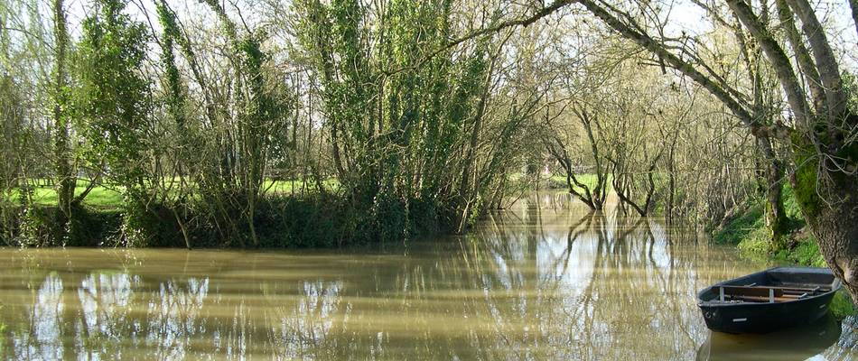 La Vendée en avril par le gite de la Gravée Vendée