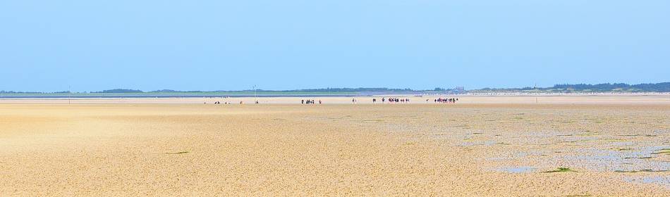 Pâques en Vendée - gite de la gravée Vendée