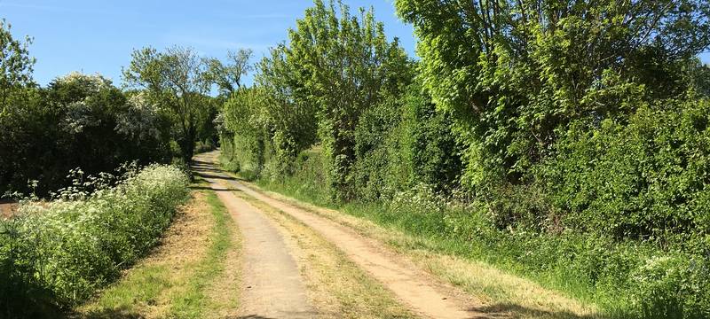 réviser ses examens dans un gite en Vendée