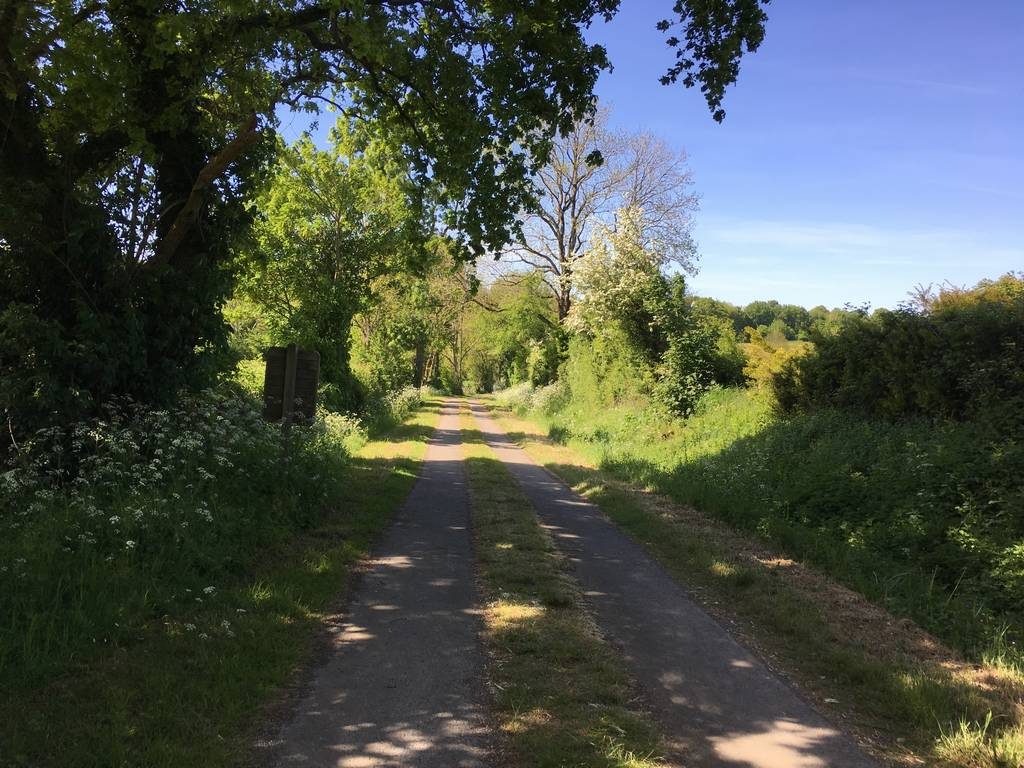 Vacances à vélo en Vendée, piste cyclable de Saint Michel le Cloucq