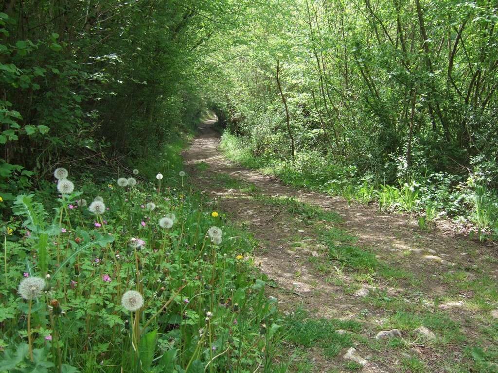 Location de vacances en Vendée pour randonneurs