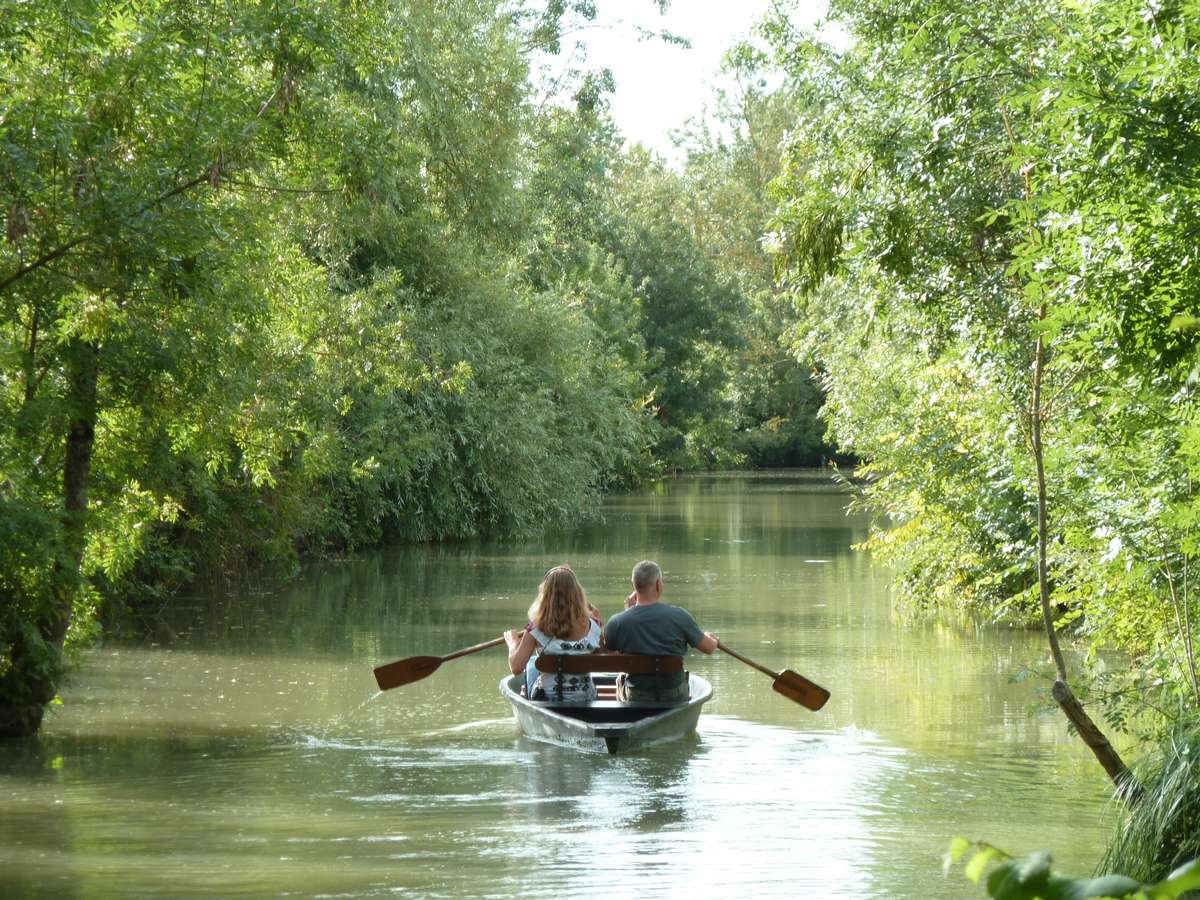 balade en barque dans le marais poitevin