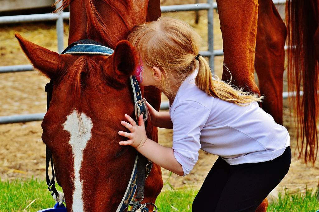 Activité cheval pour des vacances au gite de la Gravée en sud Vendée