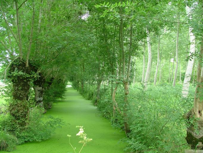 Vendée ou Marais Poitevin