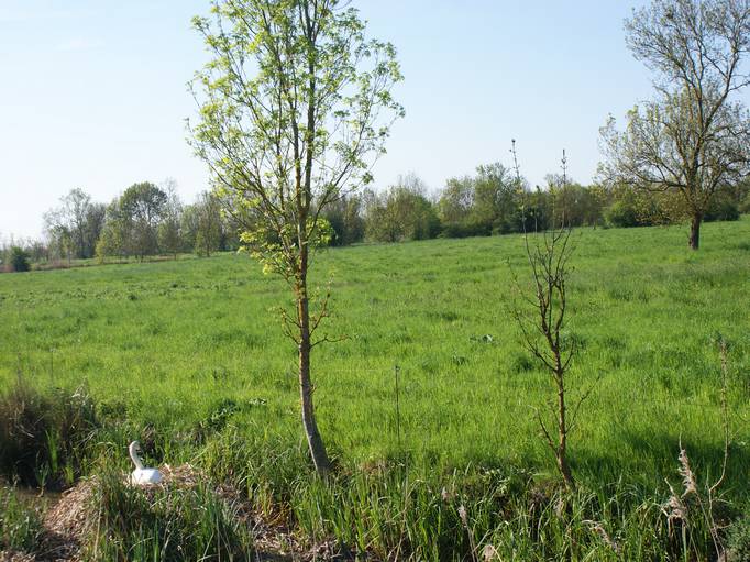 Bocage de Vendée