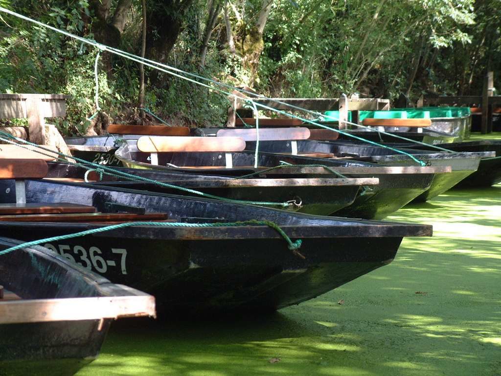 Vacances en Vendée, barques du Marais Poitevin