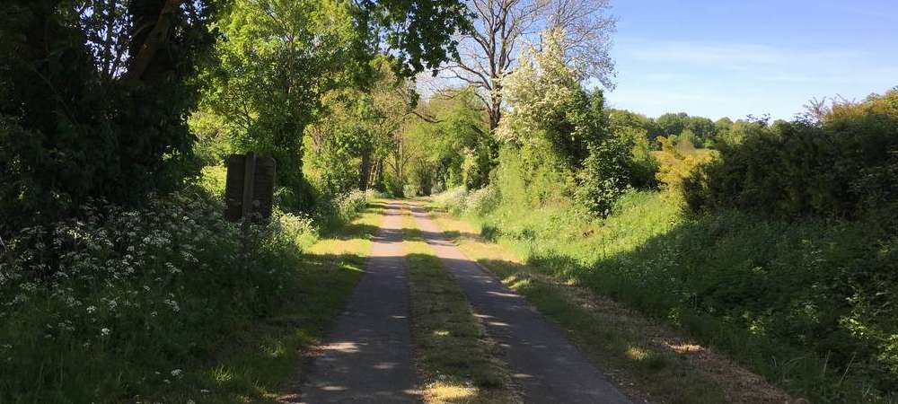 Des vacances en Vendée Saint Michel le Cloucq, la piste cyclable vers Merventr