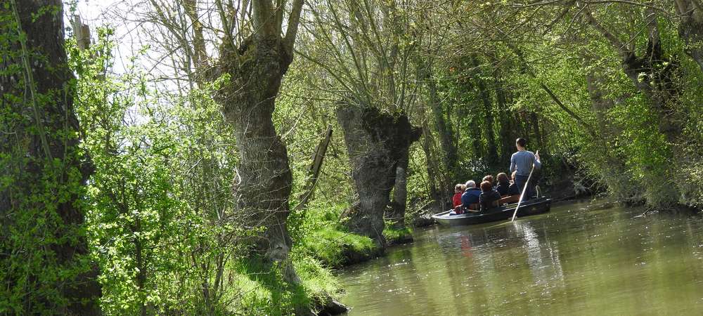 Vacances en Vendée Balade en barque dans le Marais Poitevin avec un guie