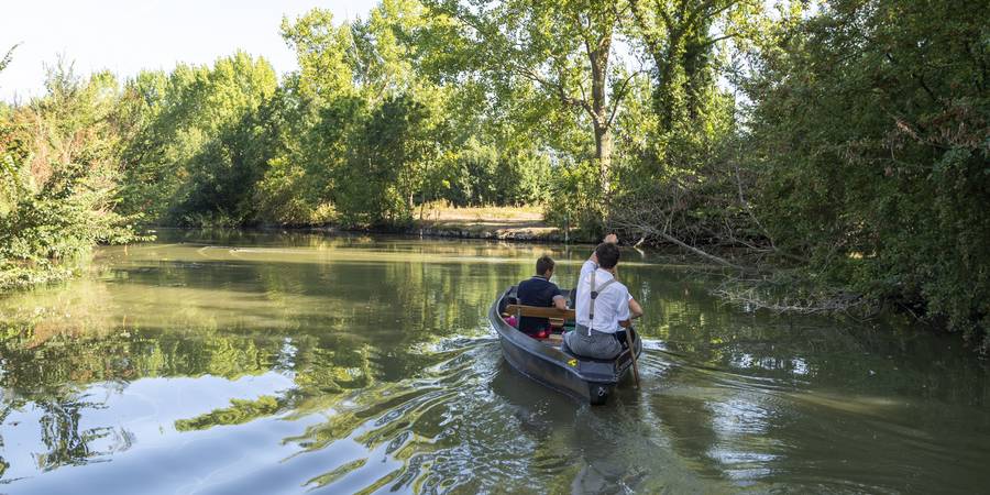 Balade en barque avec guide dans l'un des deux marais de Vendée : le Marais Poitevin 