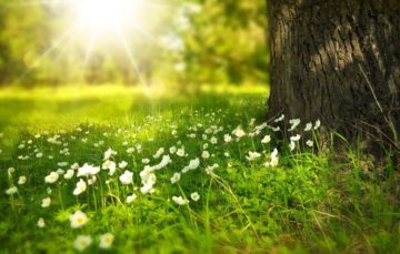 Passez des vacances proches de la nature au gite de la Gravée