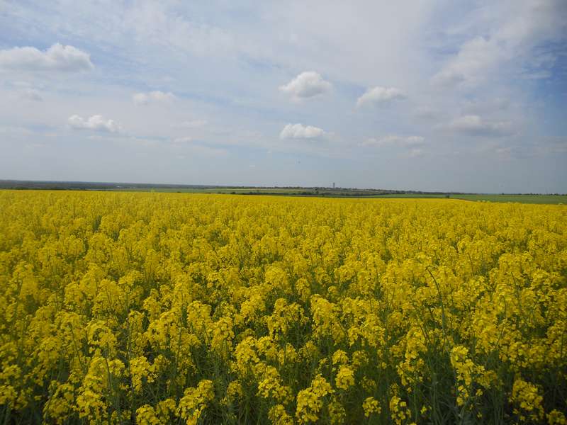 Vacances nature dans la plaine vendéenne