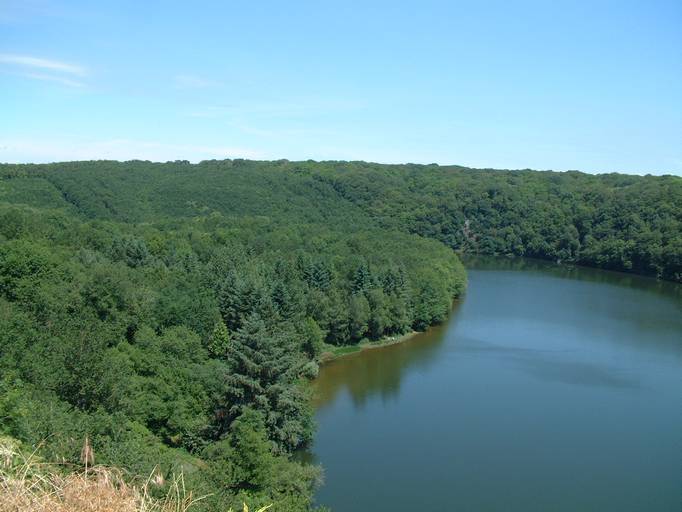 Lac de Mervent et la forêt, lieu idéal pour des randonnées lors de votre séjour à Saint Michel le Cloucq