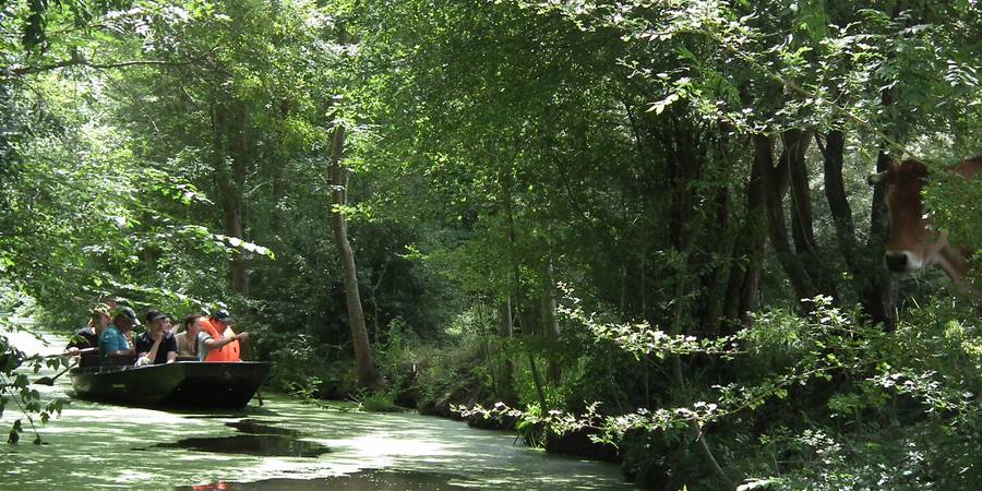 Vendée ou Marais Poitevin