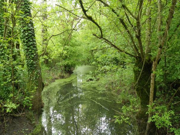 Vendée ou Marais Poitevin