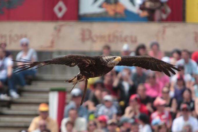 Puy du Fou