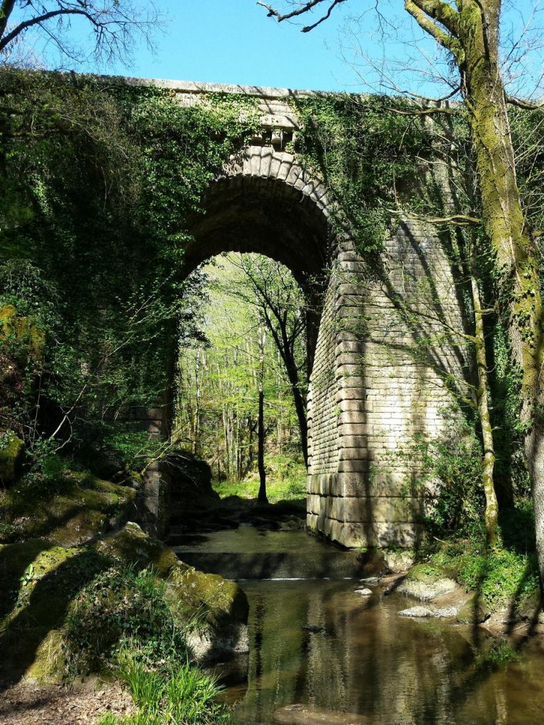 Le pont du déluge dans la forêt de Mervent