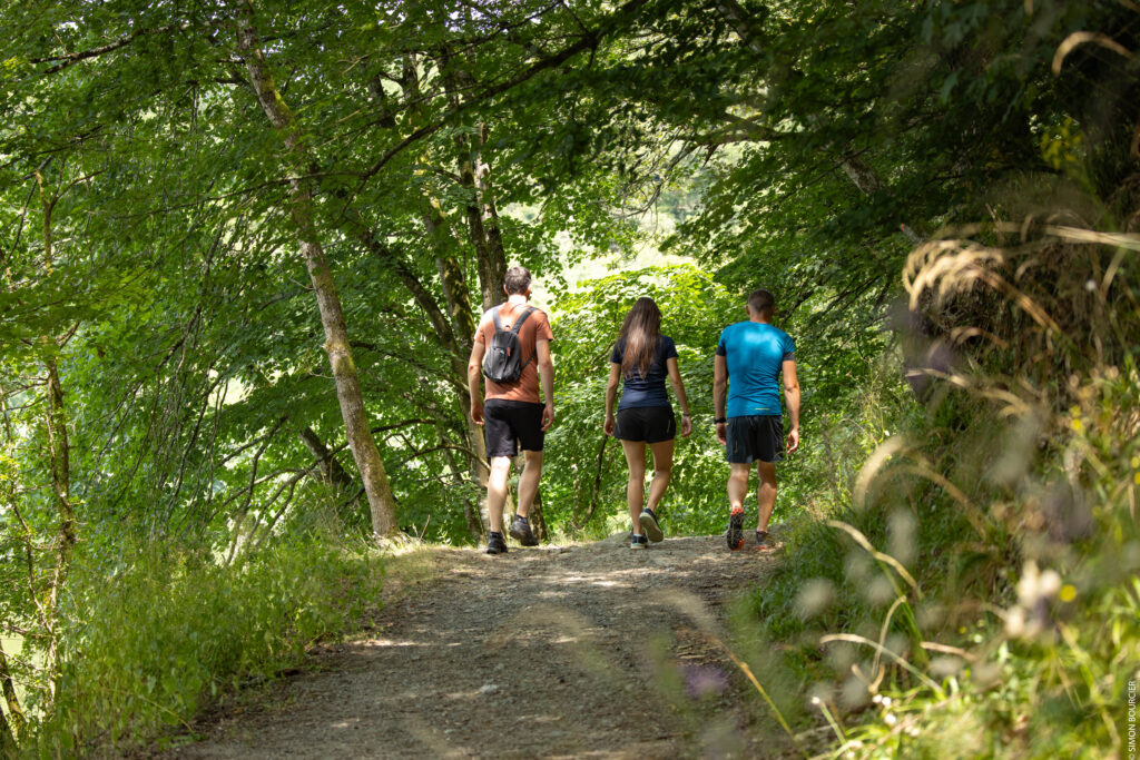 balade en forêt de Mervent près du gîte de la Gravée