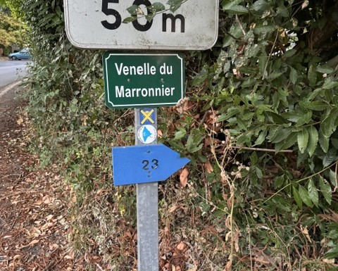 Venelle du Marronier à Saint Michel le Cloucq